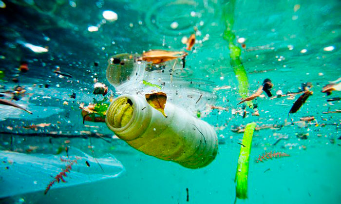 Mar de Lixo - Ciência em Ação